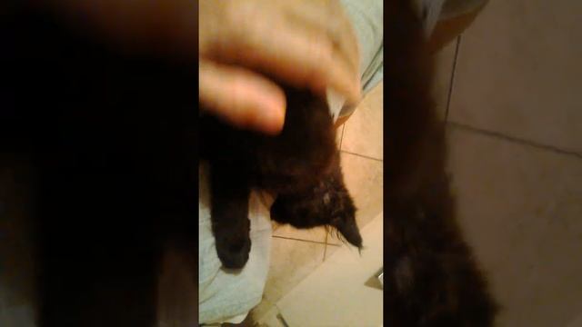 Da16c3ef15800315974add4623307a39