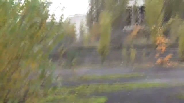 Чернобыль.Октябрь 2012 часть 3-я