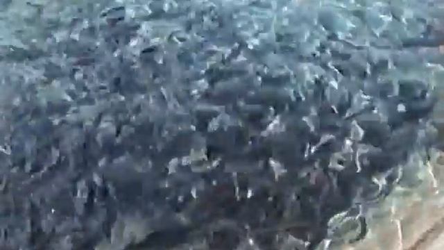 009fcd92627836ac3ed091ccc0657df1