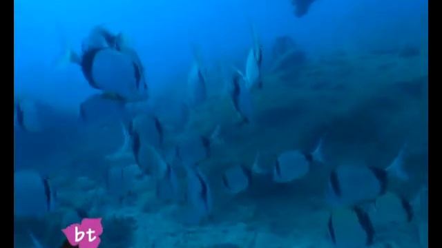 Scuba Diving In Kaş, Turkey By Bougainville Travel