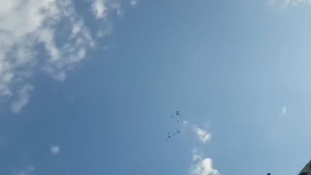 Гоняем молодых голубей 26.08.2021 Голуби Карабалта