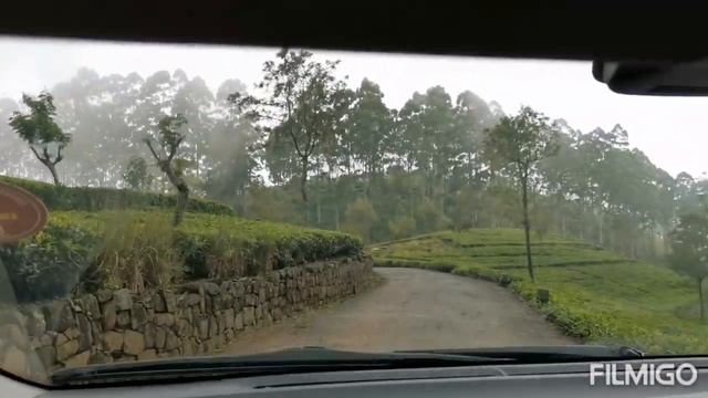 E8d0fef53bd9b38d53c18c9e3bbcc630