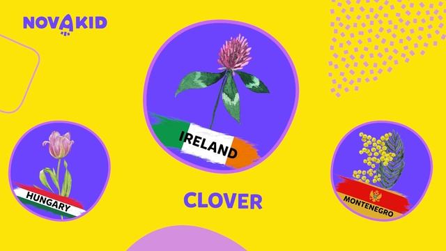 Flowers Of Different Countries | Learn English Vocabulary For Kids