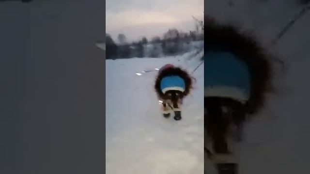 Озвучка домашних животных.