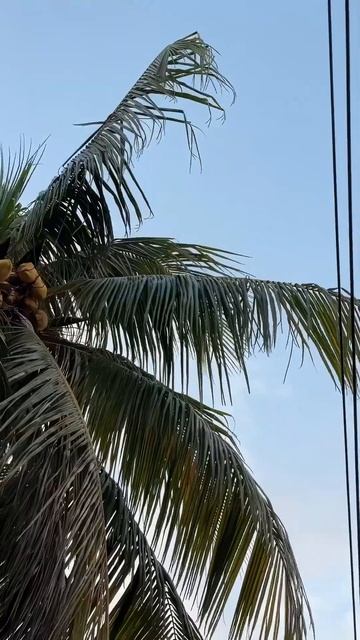 1fdc6612a3b0ac96a1fb61c5a7d7a82c