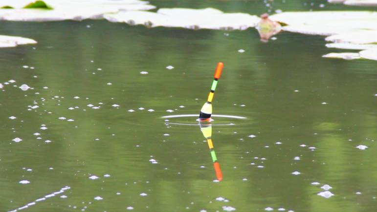 9bbfe0265d0b42be01b1cb69f55daeb7