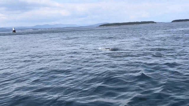 Aaron’s Boat 🛥️☀️