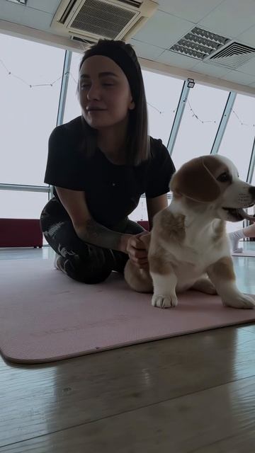 1b43ac175c7294ce00b4b1584303b9bd