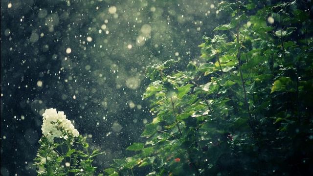 Spring Shadow By Pulceline (Original Mix)