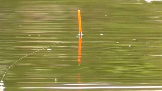 Cea0691078ff3a879d427769213534c2