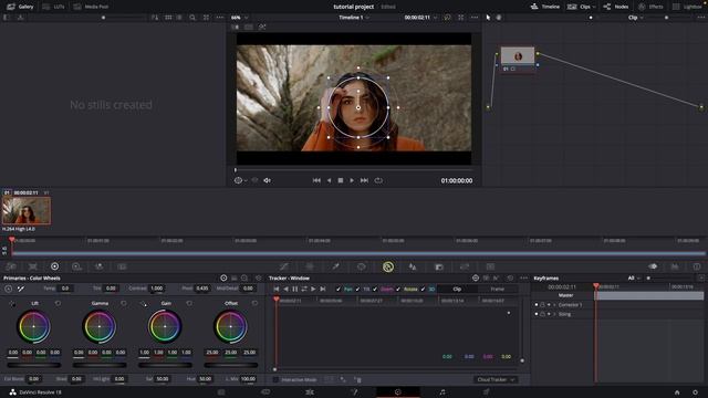 How To Blur Face In Davinci Resolve | Add A Blur Effect And Track Faces | Davinci Resolve Tutorial