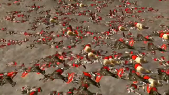 Medieval 2 Total War Clan Video-Royal Hessian Guard