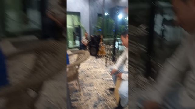 Kecha Omadlik Yurardim Yayrab