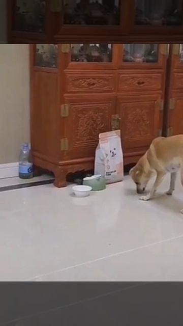 9d5b07aa7acd78c241b0e544104e7e0d