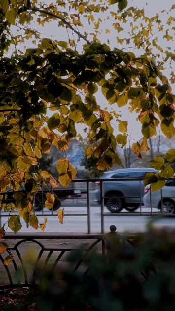 349383c5b93516496a41c9a1bd16b05a