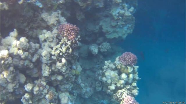 Egipt 2018 - Marsa Alam