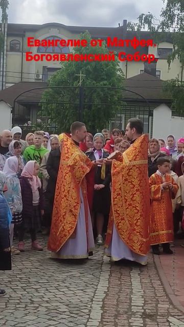 Евангелие от Матфея.  Богоявленский Собор. #Богородск #Благочиние