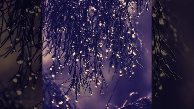 Мечты (Дождливые дни)