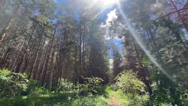 о. Талкас- красота России!