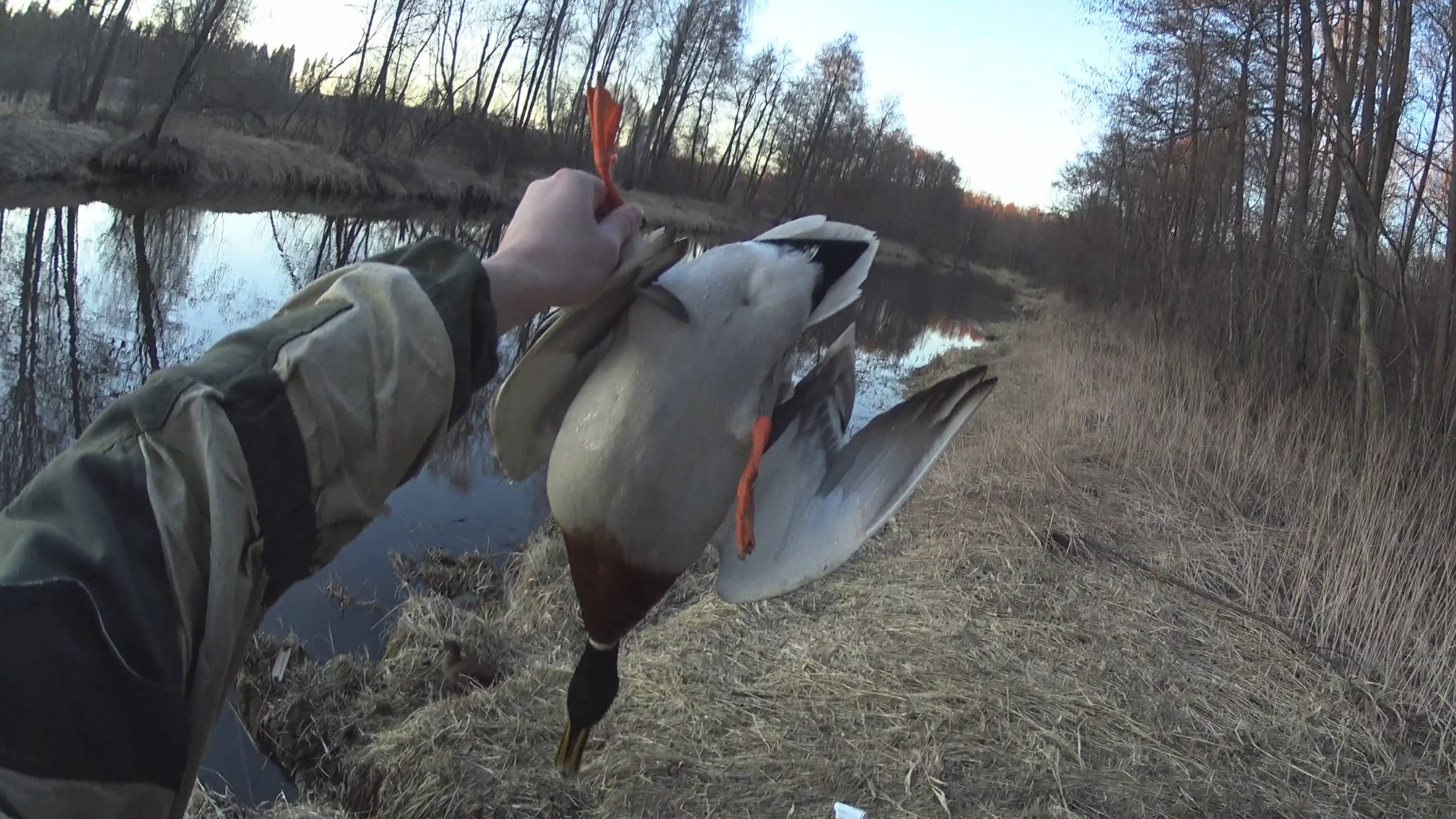 D9020be9b0f191010468178b8972bb06