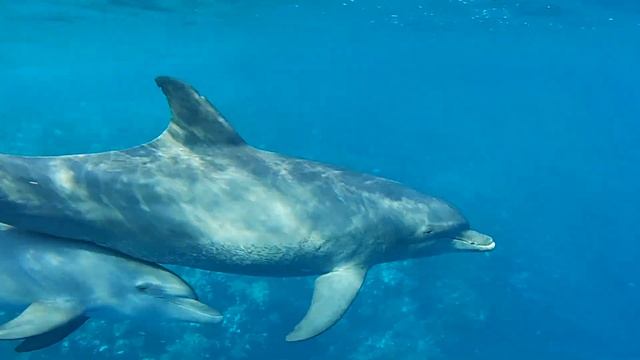 Fa2edc21f5cabb34fbc599494910f16b