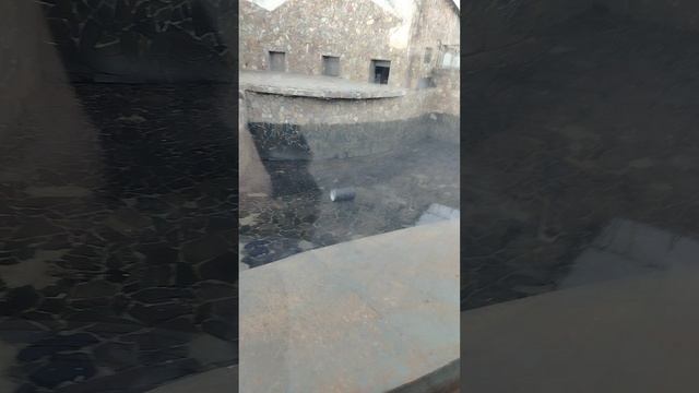 Зоопарк в2 часть конечная.