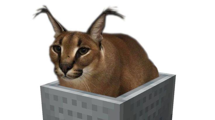 играю в кэтс !ВНИМАНИЕ! в видео есть реклама