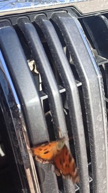 Весна приходит в город