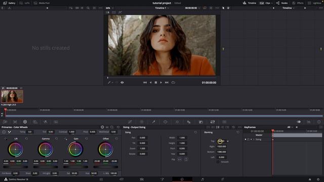 How To Add Black Bars In Davinci Resolve | Add Letterbox Bars | Davinci Resolve Tutorial