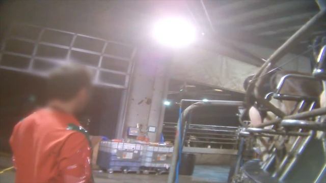 GRAPHIC VIDEO: Workers Allegedly Abusing Cattle