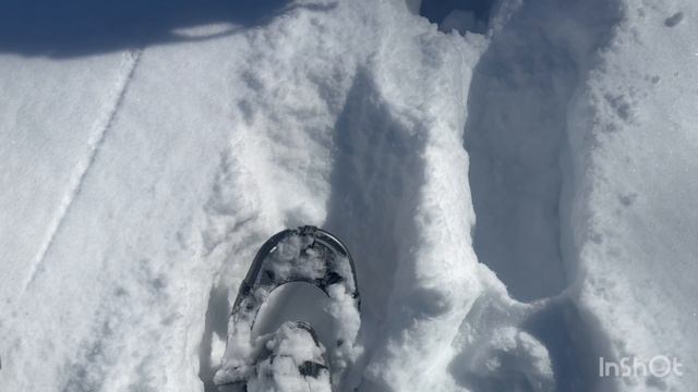 Зимний поход на стегоступах. Высота 1660)
