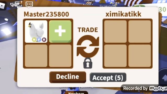 Трейд курица 🐔 (Что дасть? 🧐)