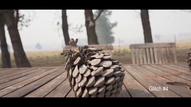 5 Glitch Effect Presets to download for premiere pro | Drag & Drop | Use in video, images, texts