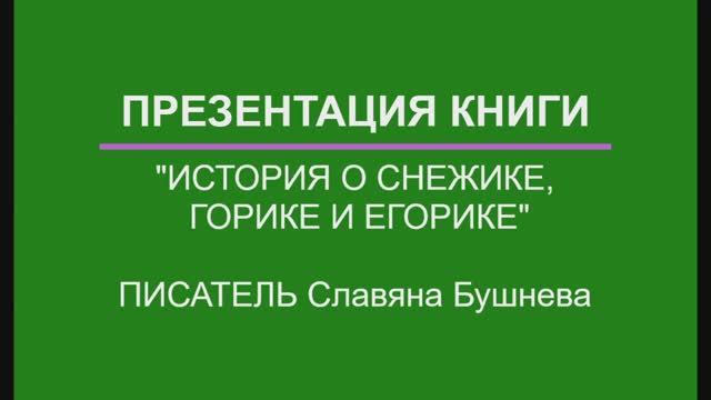 Презентация книги История о Снежике, Горике и Егорике в Городской библиотеке Майкоп Славяна Бушнева