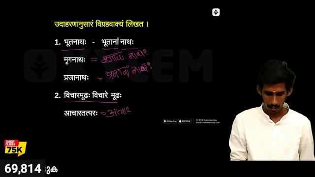 Class 8 Sanskrit | Christmas Exam Full Chapter Wise Revision | Mini Marathon | Xylem Class 8