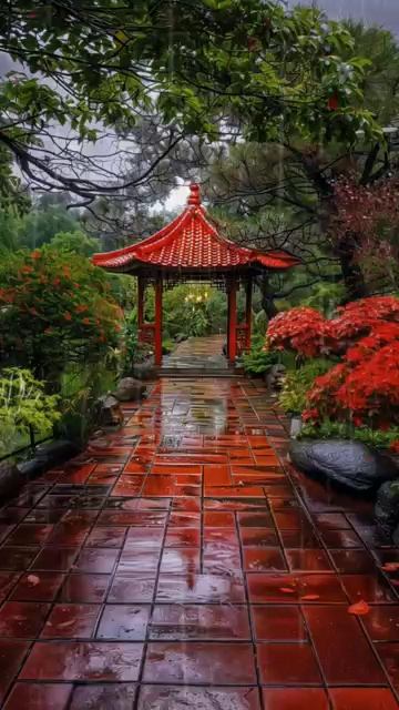 A Peaceful Rain In The Garden #japanesegarden #short #shortvideo