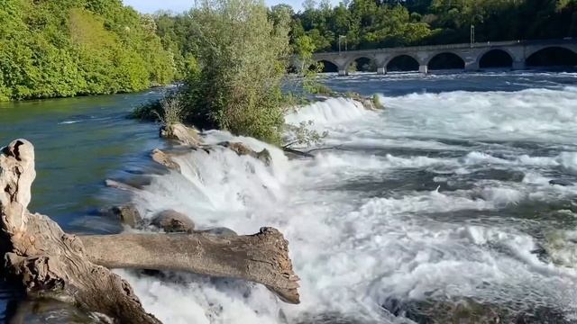 Euhausen Swiss
