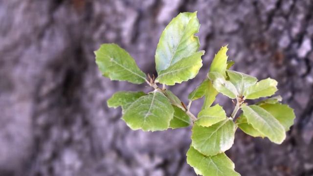 7490169c0f715c29b0604d044d1d5cfa