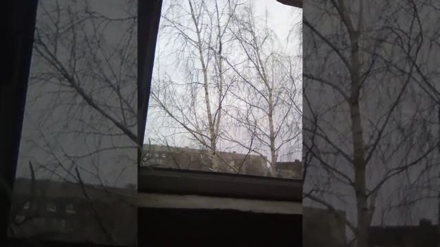 Кидаем шапки с другом