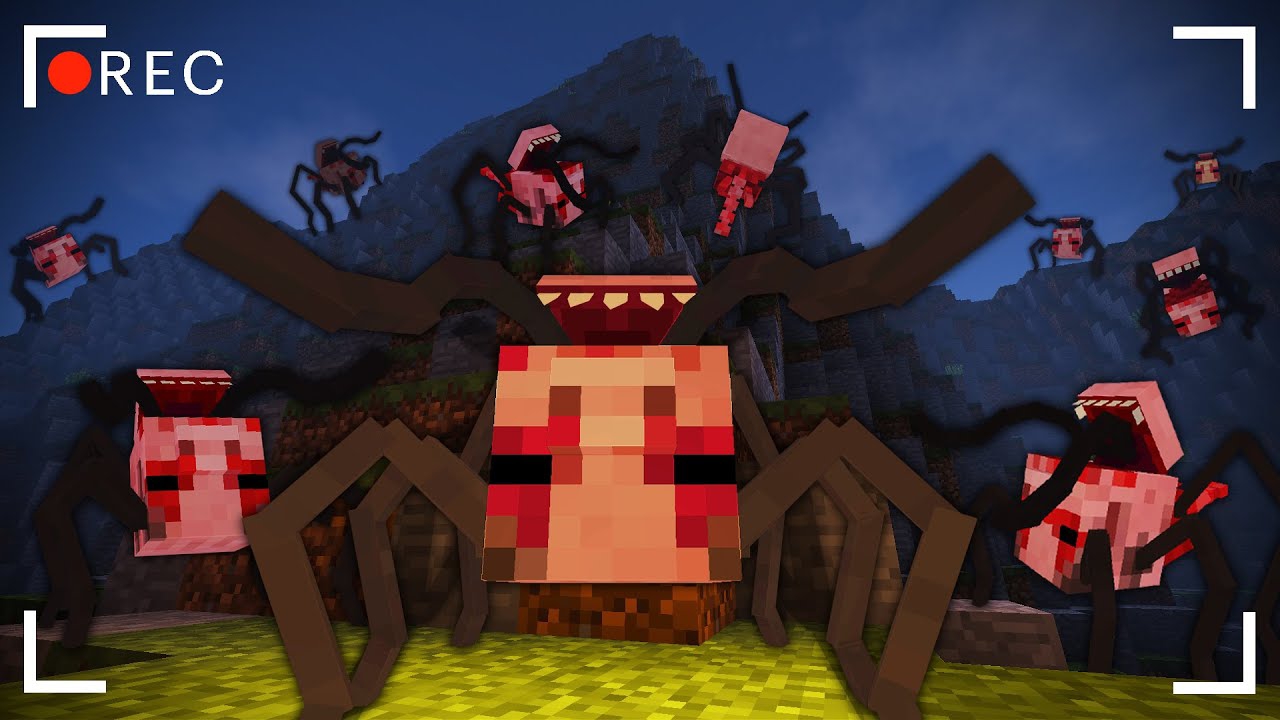 C268be5ac3ccdb8d366b095b813cf8f8