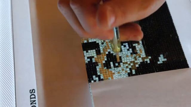 Paint With Diamond | Part 2