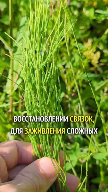 52328ed7cc7847c10427077ed62a6061