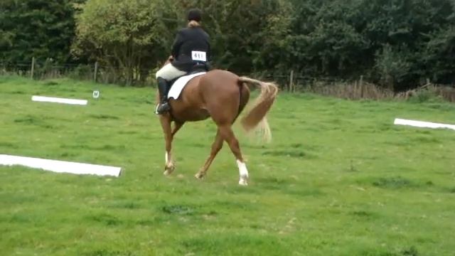 Cherry And Oscar @ CVRC