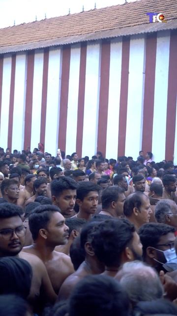 Eaffccfbdbea431ee9232f5ec304fe6a