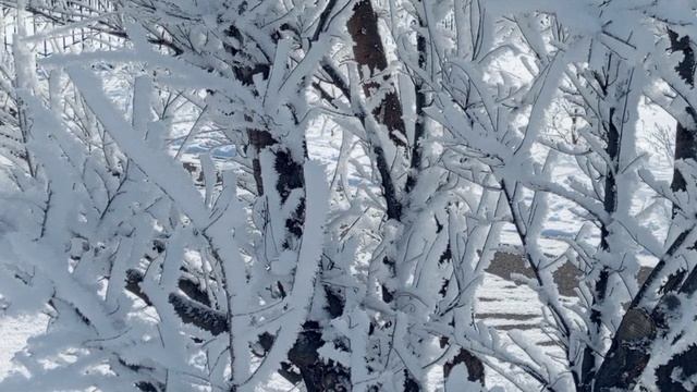 Опека окончена. Но приключения продолжаются! Суд. Часть первая.