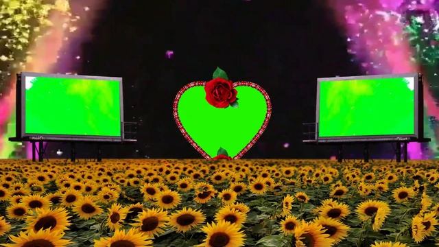 8fd05958bf294b5e8b930e749b647d12