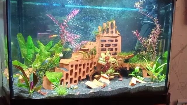 3 февраля 2021 г.