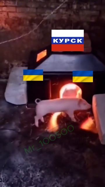 Штурм Курска