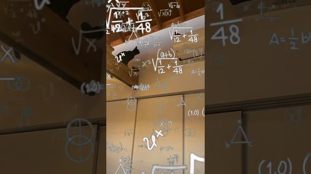 смешные видео про котов