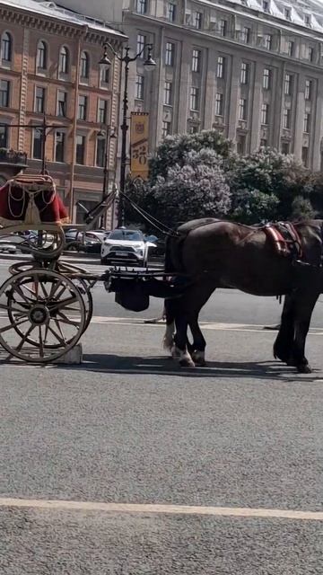 Исакиевский собор, двухэтажные автобусы и красивое здание.